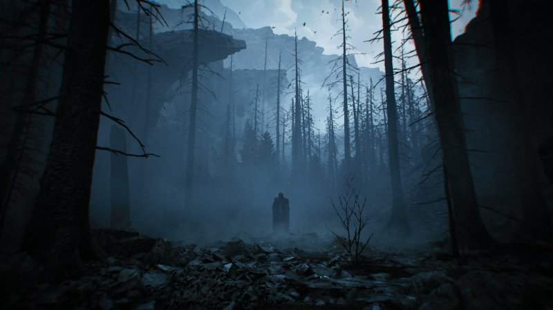 L'ambientazione boschiva è molto presente all'interno del trailer di Lucid Falls