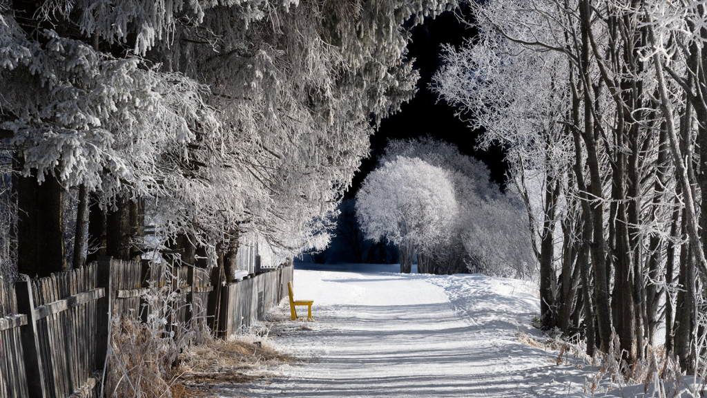 Top 5 dell’Engadina: visioni ed emozioni di Michele Gastl, fotografo paesaggista- immagine 4