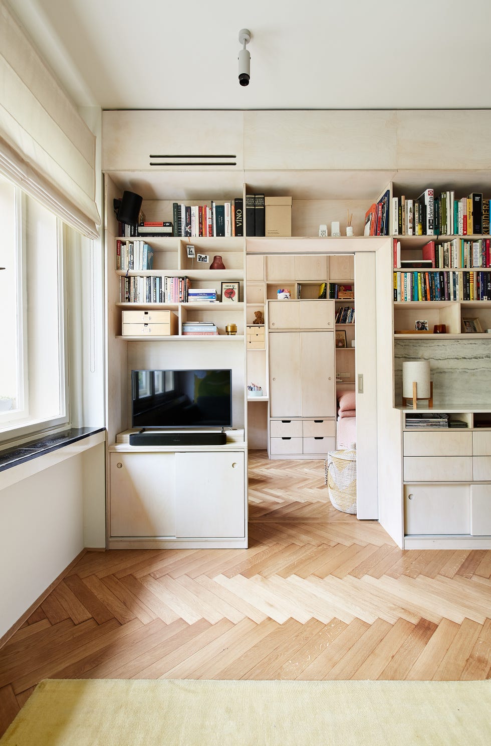 modern living space with bookshelves and entertainment unit
