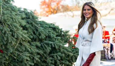 tour tra decorazioni e oggetti di design