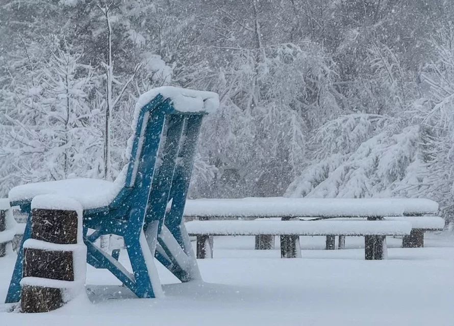 Natale con la neve in Liguria, allerta gialla nell'entroterra di ponente per tutto il 25 dicembre - Primocanale.it
