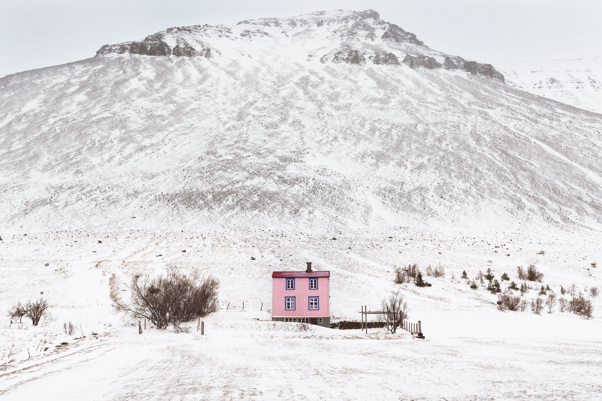 decorated christmas tree in a snowy urban square decorated christmas tree in a snowy urban square