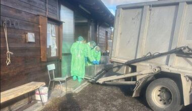 Peste suina africana, primo allarme a Reggio Emilia: trovati due cinghiali positivi a Villa Minozzo