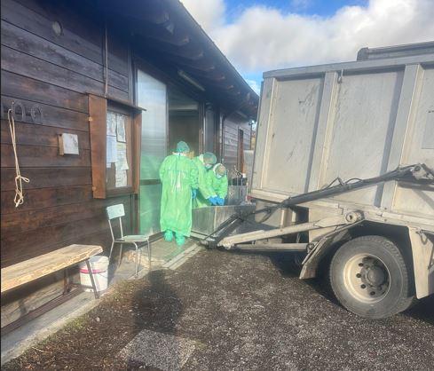 Peste suina africana, primo allarme a Reggio Emilia: trovati due cinghiali positivi a Villa Minozzo