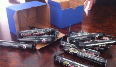 «Ecco perché non è stata adottata un'ordinanza che vieta i botti»