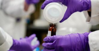 Svelato il meccanismo col quale i Pfas riducono gli anticorpi nei bambini vaccinati. Lo studio