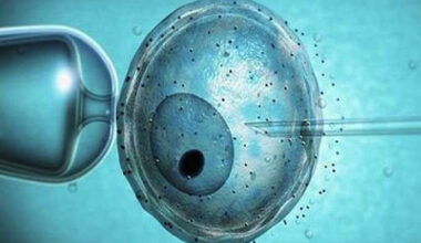 Provetta letale, le malattie dei padri ricadono sui figli