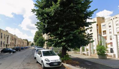 ragazzo ferito in strada con mannaia e mazza da golf