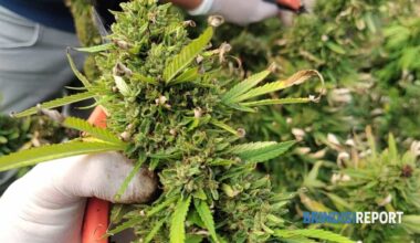 nel Brindisino due titolari denunciati