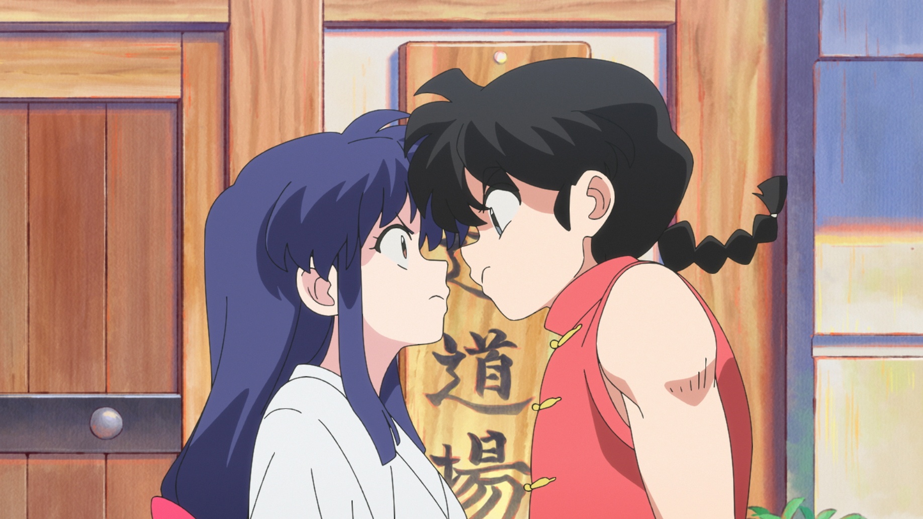 Ranma e Akane