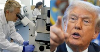 Boom di studi e prime terapie in arrivo per i tumori con i vaccini a mRNA. Ma i tagli Usa frenano la corsa