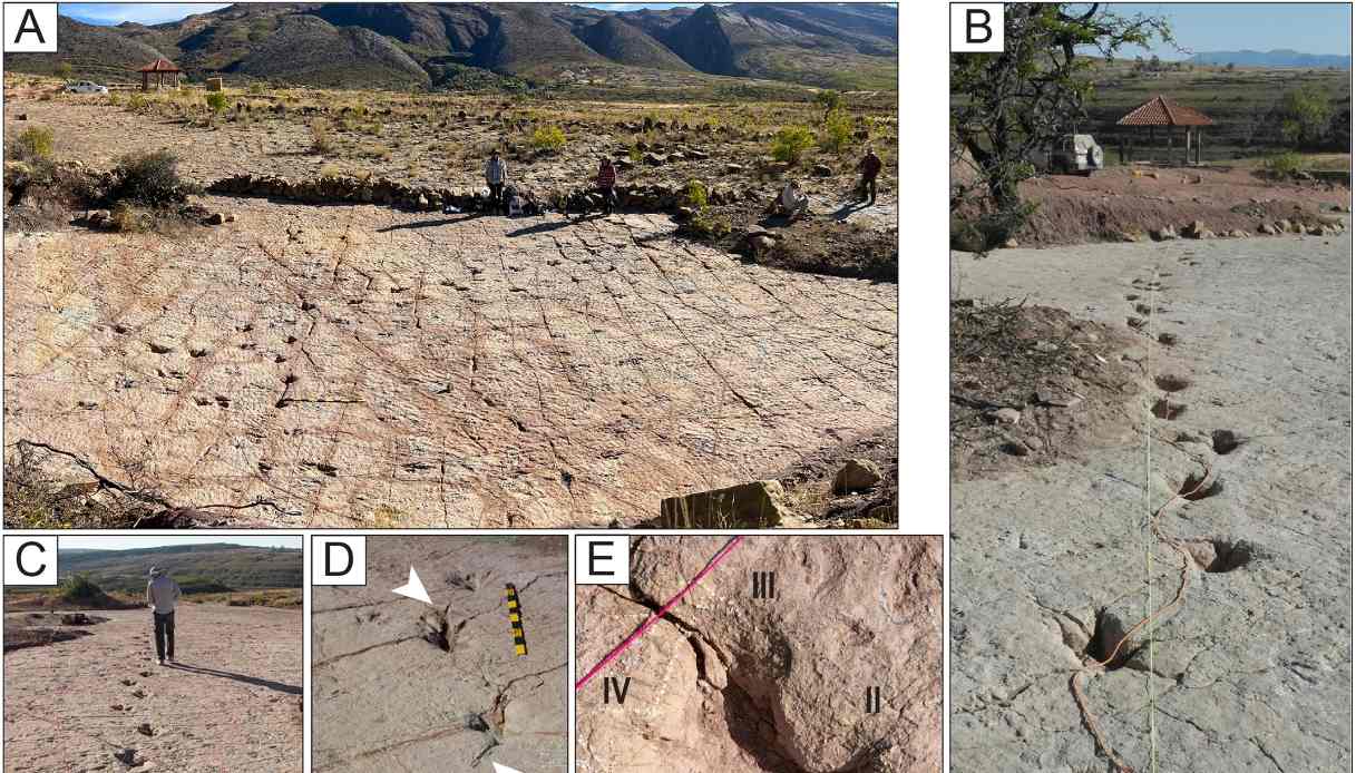 Bolivia, scoperte rarissime impronte di dinosauri nel Parco Torotoro