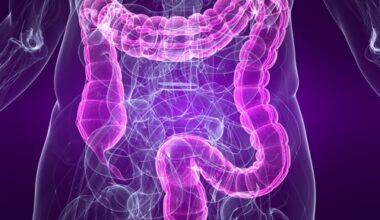 Intestino, non è condannato a invecchiare: due studi spiegano come prevenirne il declino