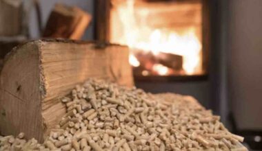 Stufe a pellet, ora c'è il cambiamento: cosa bisognerà mettere in casa | L'Unione Europea ha deciso