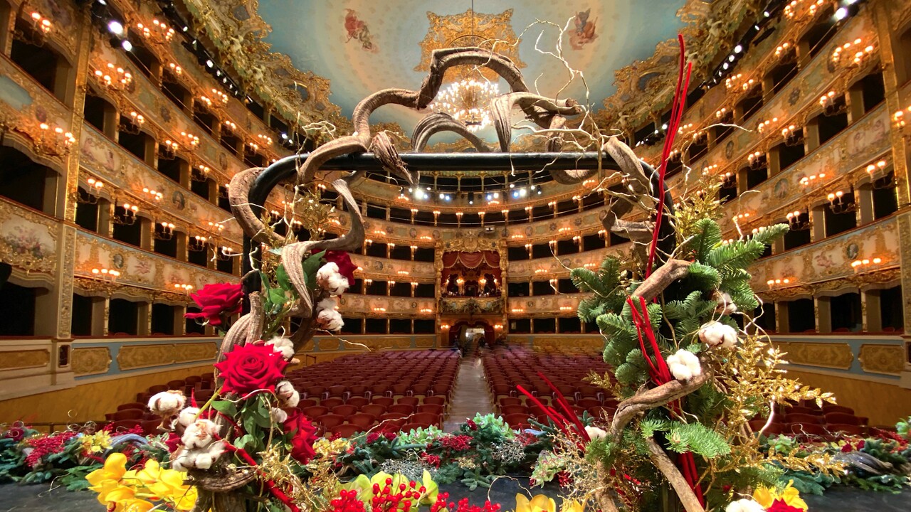 «Un successo continuo, grazie alla Rai»