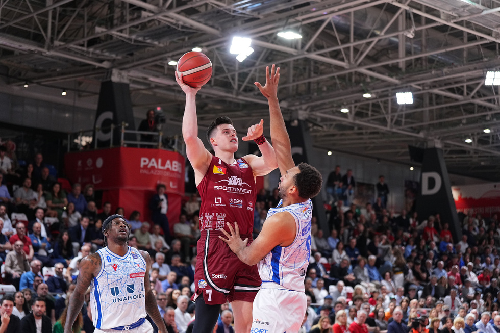 Trapani Shark - Amar Alibegovic: la querelle continua