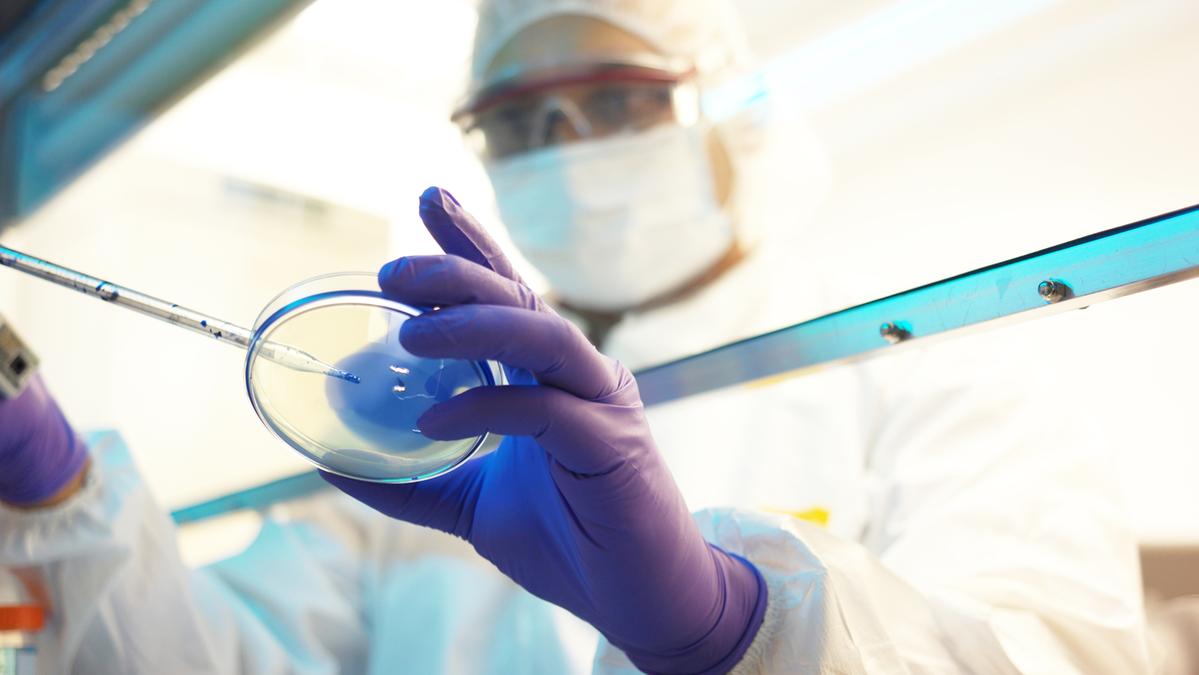 ecco perché preoccupa gli scienziati