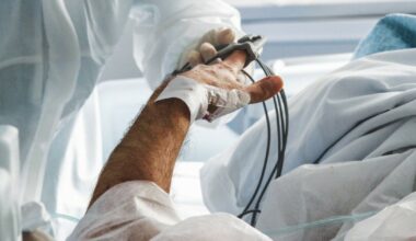 "Legge non illegittima interamente, ma viola competenze statali"