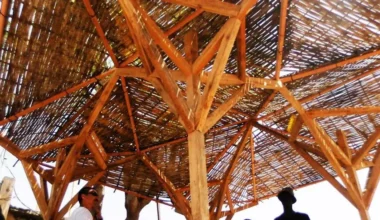 L’Africa è un laboratorio da cui può nascere il futuro dell’architettura