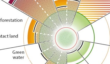 Quante volte abbiamo sentito dire “mangiare meno carne” o “seguire una dieta più vegetale”? #Natale2025