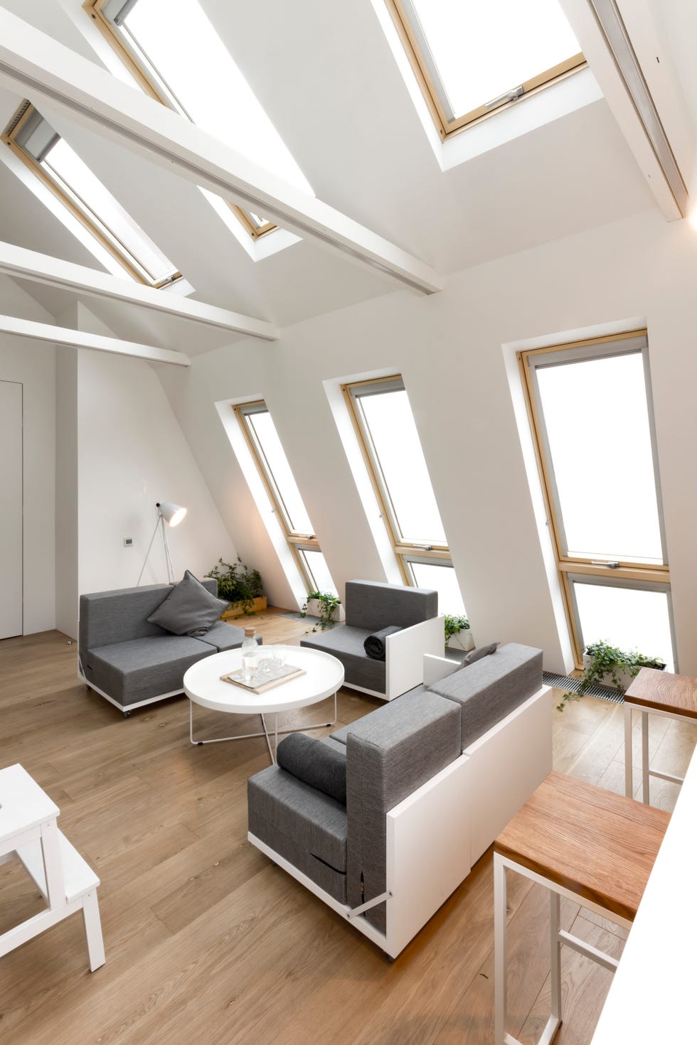 mini-casa-con-albero modern living room with angled skylights and minimalist furniture