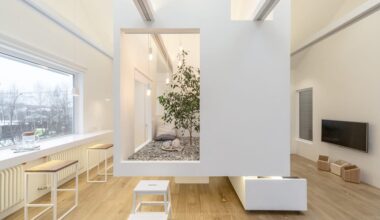 Mini-casa 48 mq costruita attorno a un albero