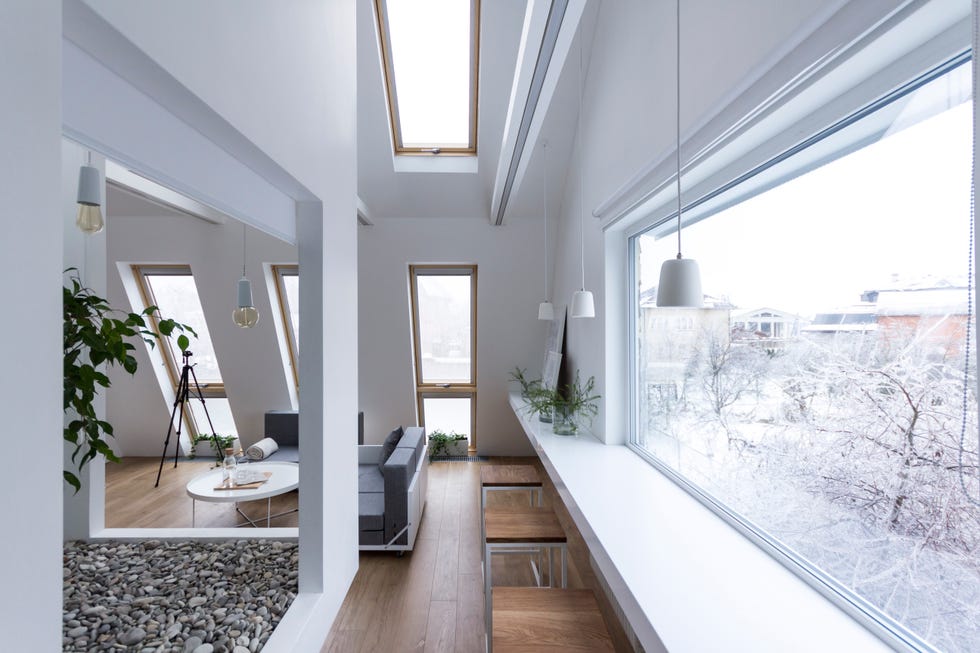 mini-casa-con-albero modern living space with extensive windows and natural elements