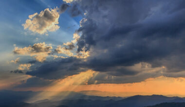 Non ci sarà mai pace se la vita innocente può essere uccisa