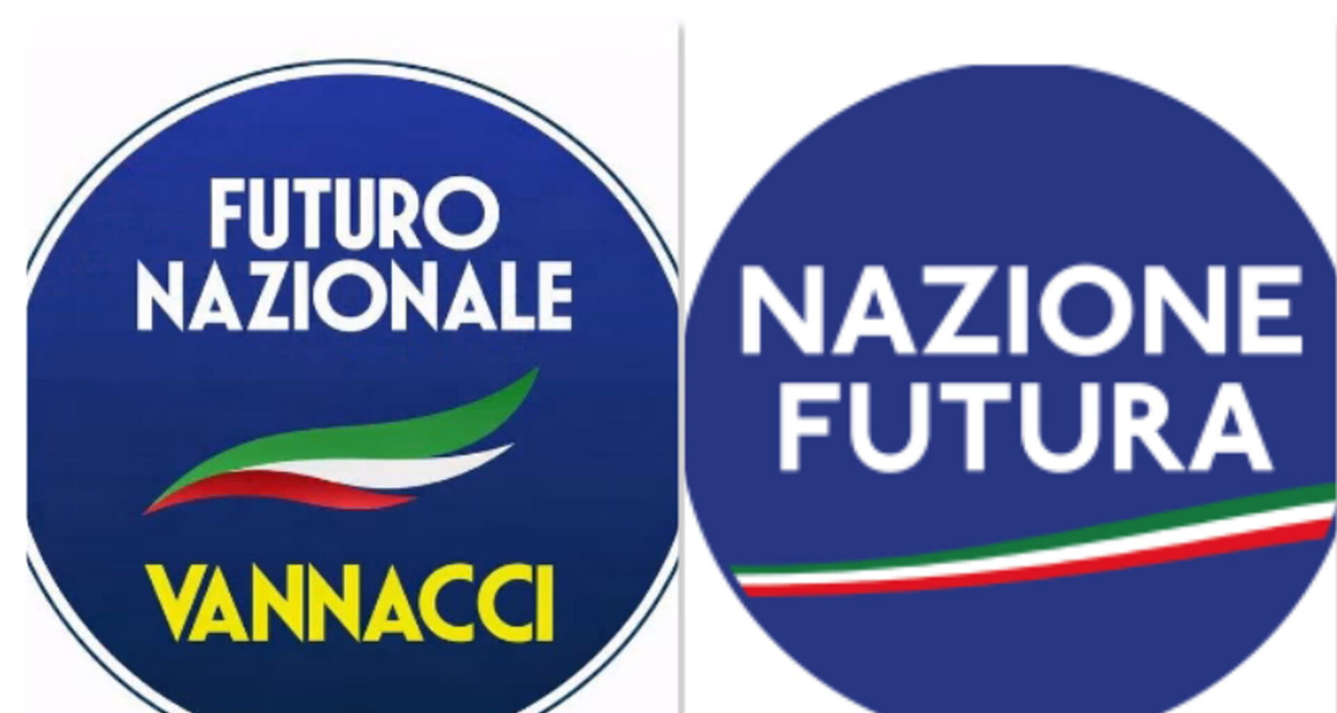 Prima gaffe di Vannacci. Nazione futura lo accusa: “Ci ha copiato il simbolo” - la Repubblica