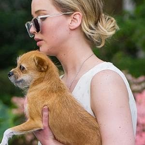 Jennifer Lawrence e la polemica sulla rinuncia del cane: “Dopo il morso a mio figlio li vedo come una minaccia”