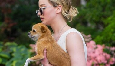 Jennifer Lawrence e la polemica sulla rinuncia del cane: “Dopo il morso a mio figlio li vedo come una minaccia”