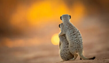 Le migliori foto di viaggio al Travel Photographer of the Year