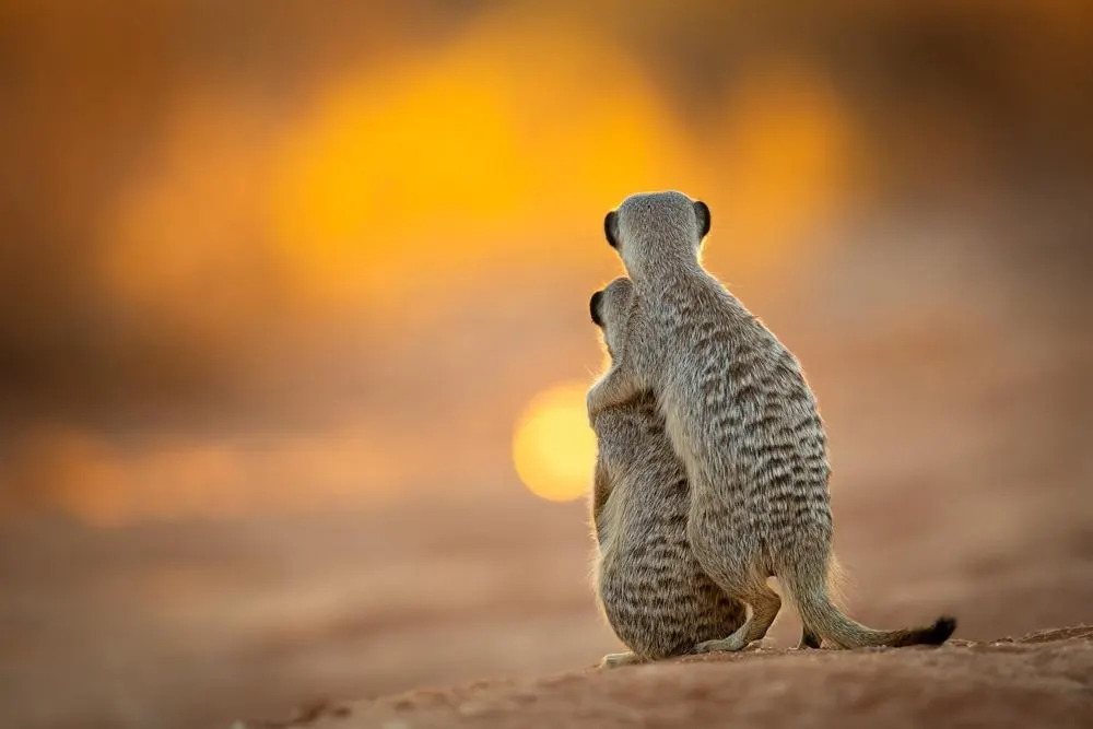 Le migliori foto di viaggio al Travel Photographer of the Year