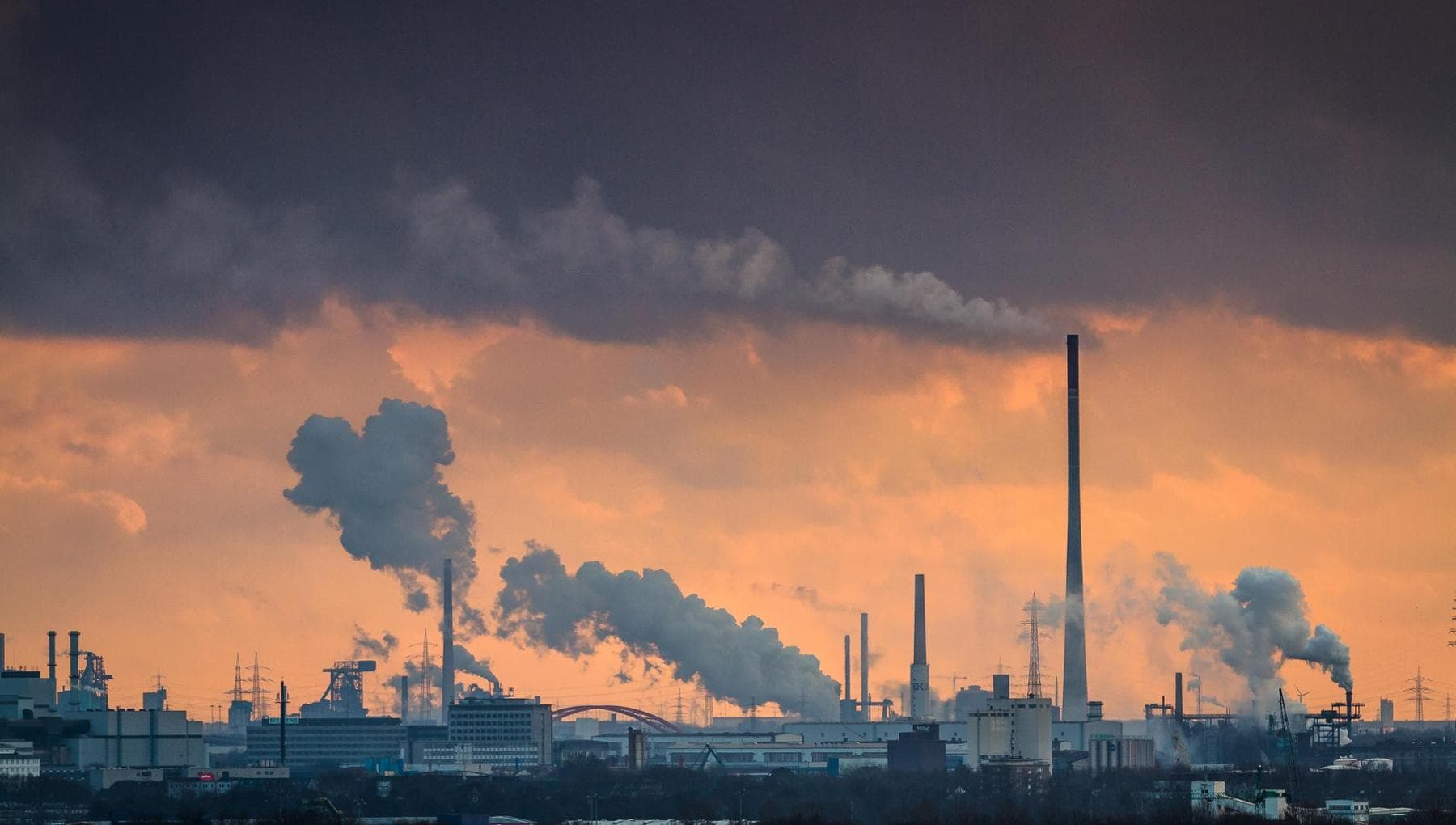 Le Borse oggi, 15 gennaio. Wall Street: apertura in rialzo, rally chip spinge Nasdaq - la Repubblica