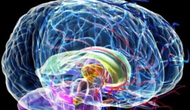 Pensare positivo può aiutare a potenziare il sistema immunitario