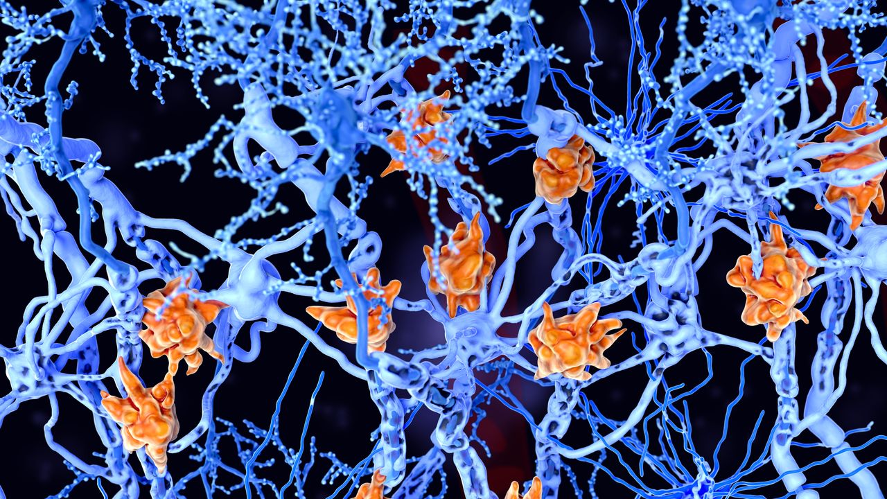 Vanity Fair Italia