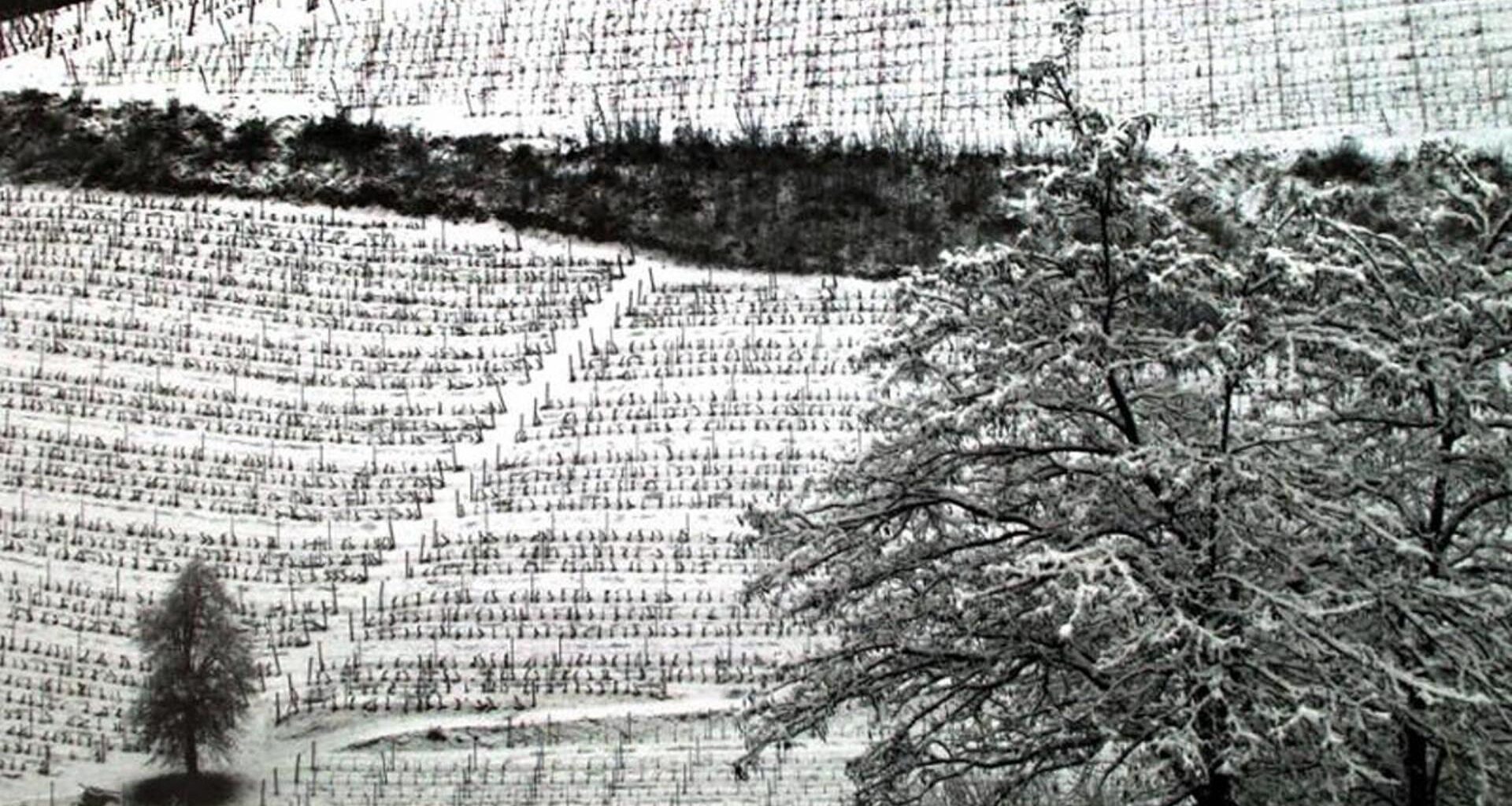 Notte gelida in arrivo: attese minime fino a -10 gradi in pianura, -15 nei fondovalle alpini