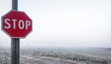 Allerta meteo in cinque regioni del Sud Italia: ondata di gelo, neve e venti di burrasca