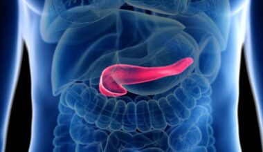 Cancro al pancreas scompare nei topi: la nuova speranza dalla Spagna