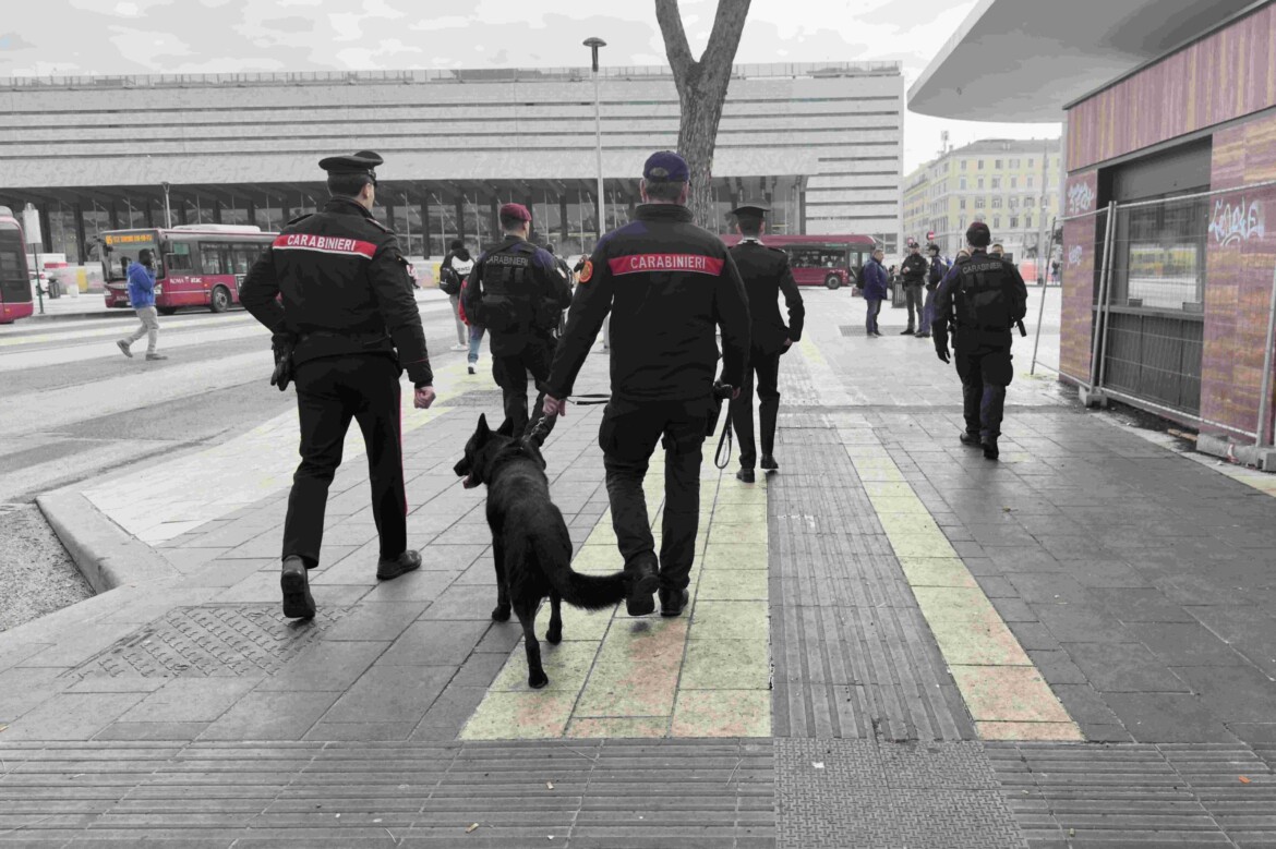 Giorgia Meloni (Antonio Masiello/Getty Images)