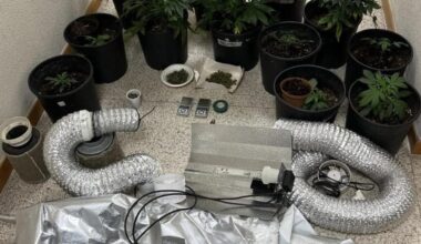 padre e figlio finiscono ai domiciliari