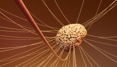 Schizofrenia e bipolarismo: scoperti i segnali chiave che identificano la malattia mentale