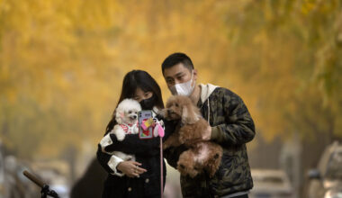 In Cina sono aumentate le tasse sugli anticoncezionali