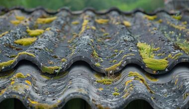 L’amianto uccide ancora - Report