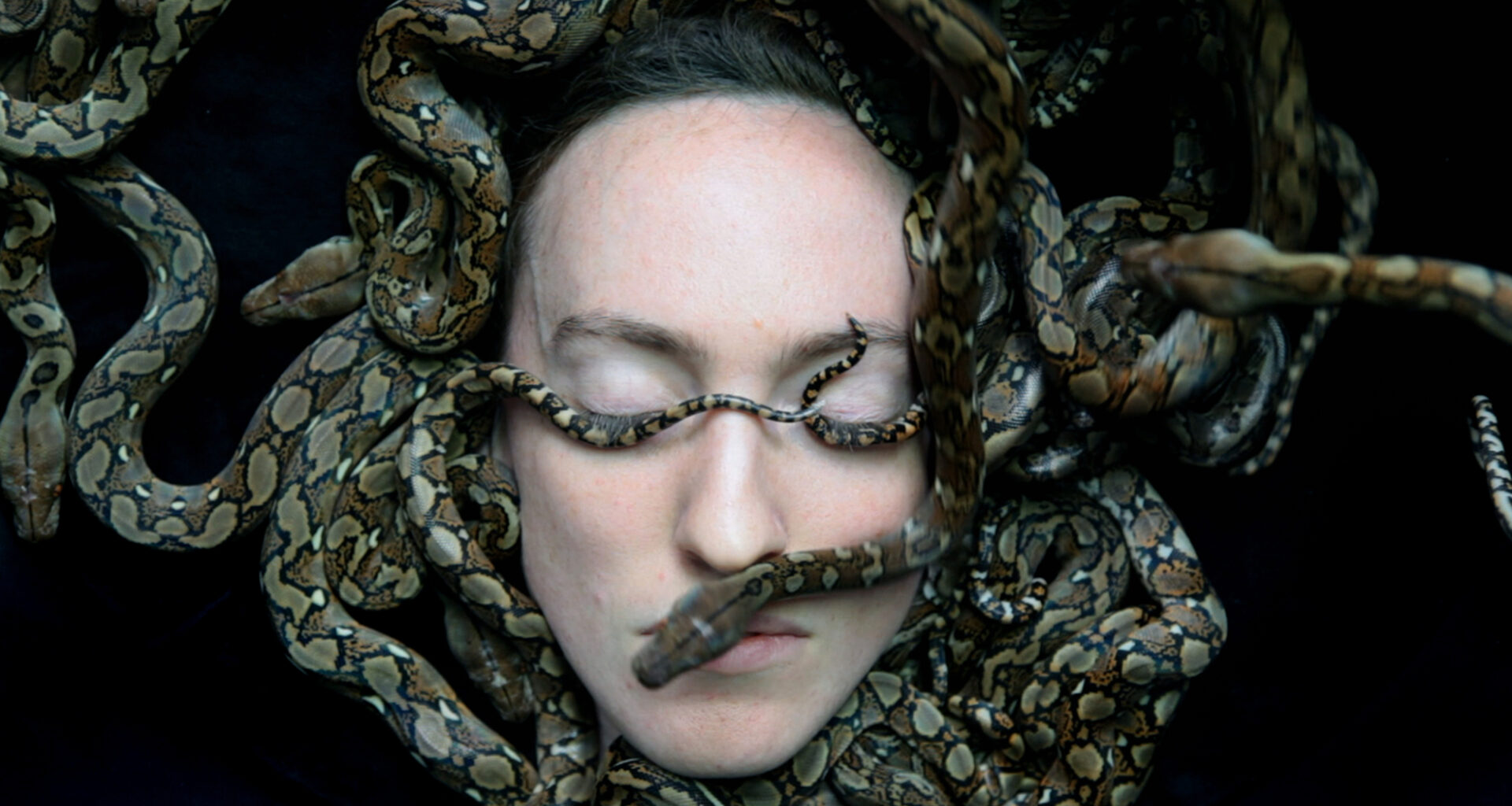 Mostra Metamorfosi al Rijksmuseum e alla Galleria Borghese