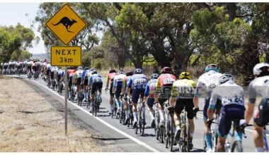 LA NUOVA STAGIONE. GLI ORGANICI DEI 16 PROTEAM