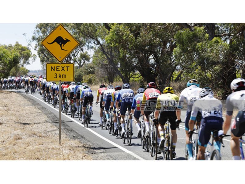 LA NUOVA STAGIONE. GLI ORGANICI DEI 16 PROTEAM