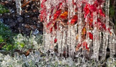 Nel Regno di Frozen, a Guanzate le sculture di ghiaccio: foto