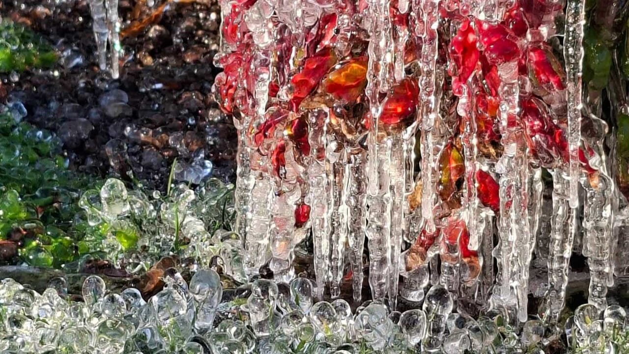 Nel Regno di Frozen, a Guanzate le sculture di ghiaccio: foto