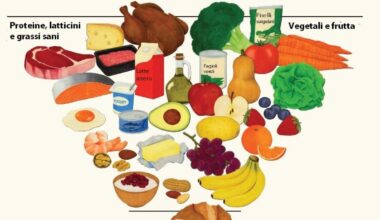 L'amministrazione Trump presenta la nuova piramide alimentare: un'inversione apparente. Il confronto